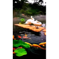 风景1826