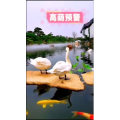 风景1827