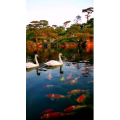 风景1829