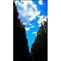 风景1830