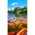 风景1834