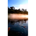 风景1846