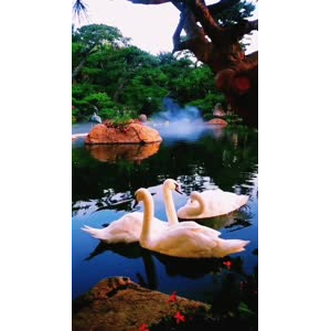 风景1847