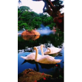 风景1847