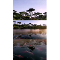 风景1848