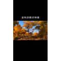 风景1849