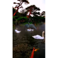 风景1854