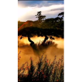 风景1855