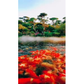 风景1862