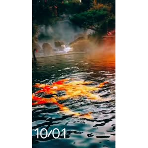 风景1864