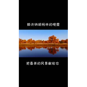 风景1871