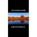 风景1871