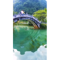 风景1889