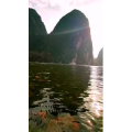 风景1892