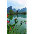 风景1895