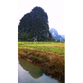 风景1900