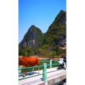 风景1906
