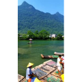 风景1919