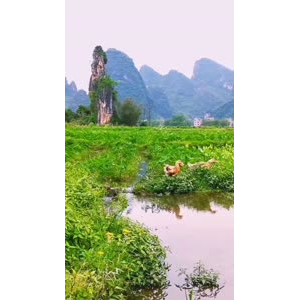 风景1942