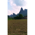 风景1943
