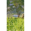 风景1944