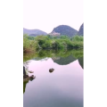 风景1946