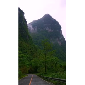 风景1954