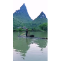 风景1964