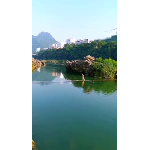 风景1967