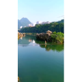 风景1967