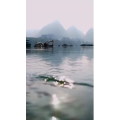 风景1969