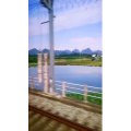 风景1976