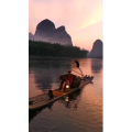 风景1980