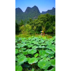 风景1987