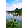 风景1997