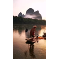 风景2001