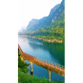 风景838