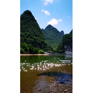 风景1978