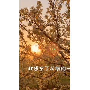 花731