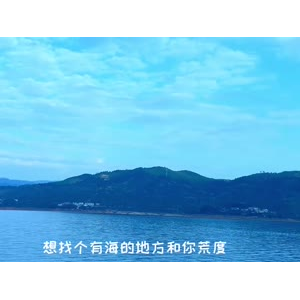 花741