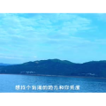 花741