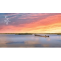 花744