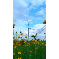 花757