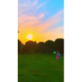 花763