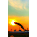 花782