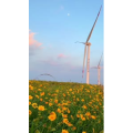 花787