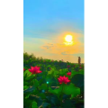 花795