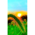 花798