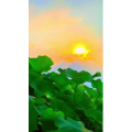 花807
