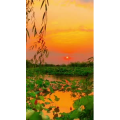 花819
